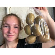 SUNGOLD KIWIFRUIT 1KG bag - BAY OF PLENTY GROWN